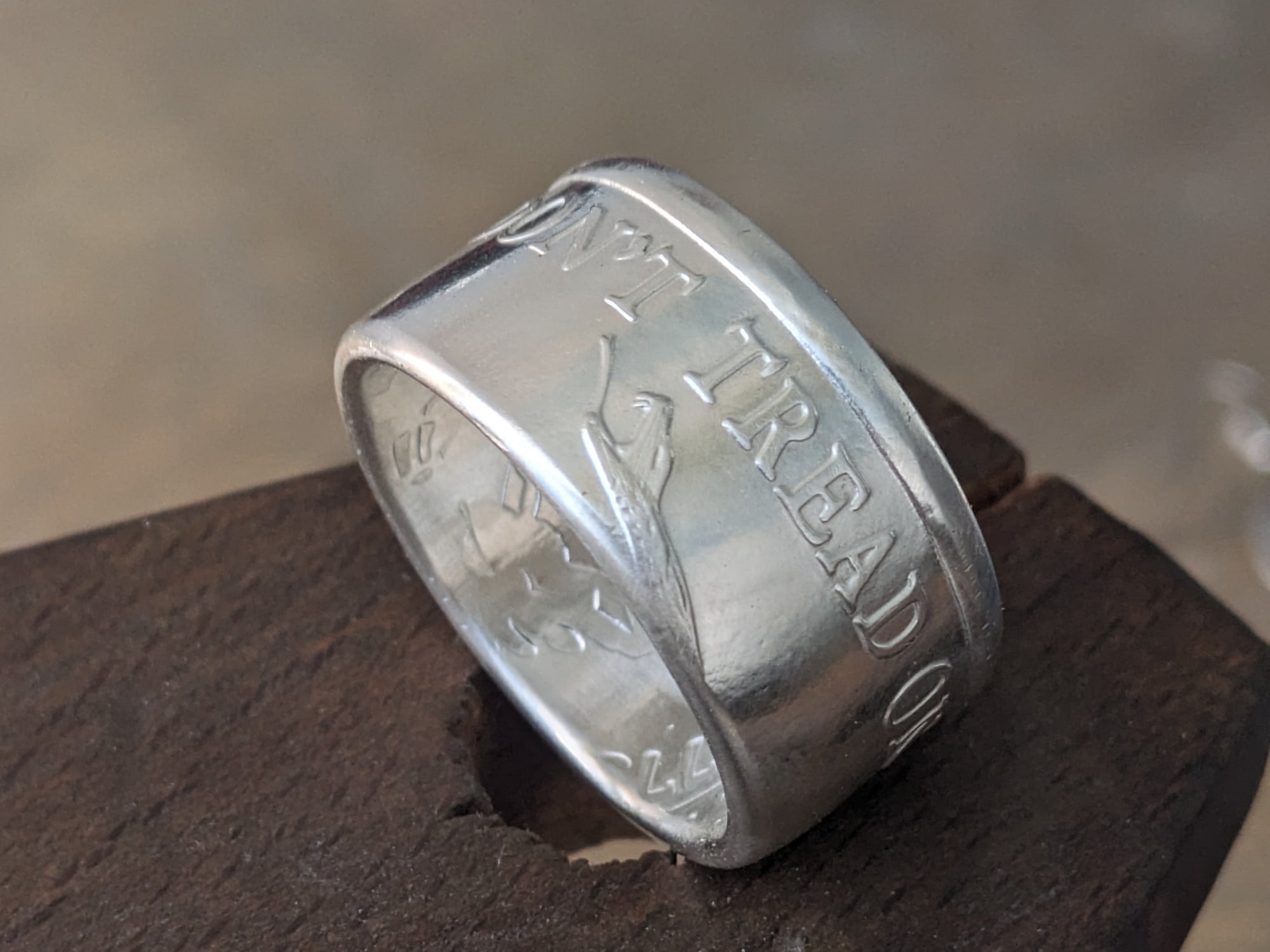 Gadsden Flag/Don't Tread On Me Silver Coin Ring